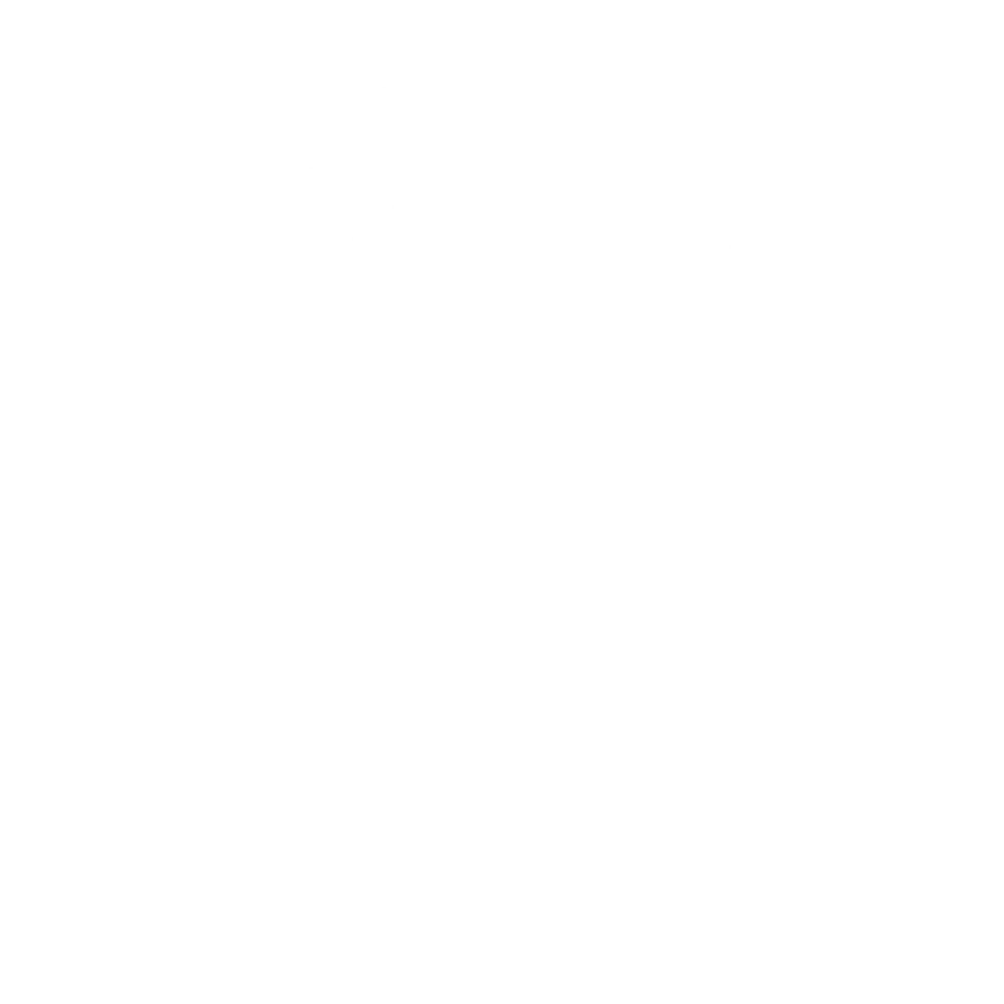 feature-item-1
